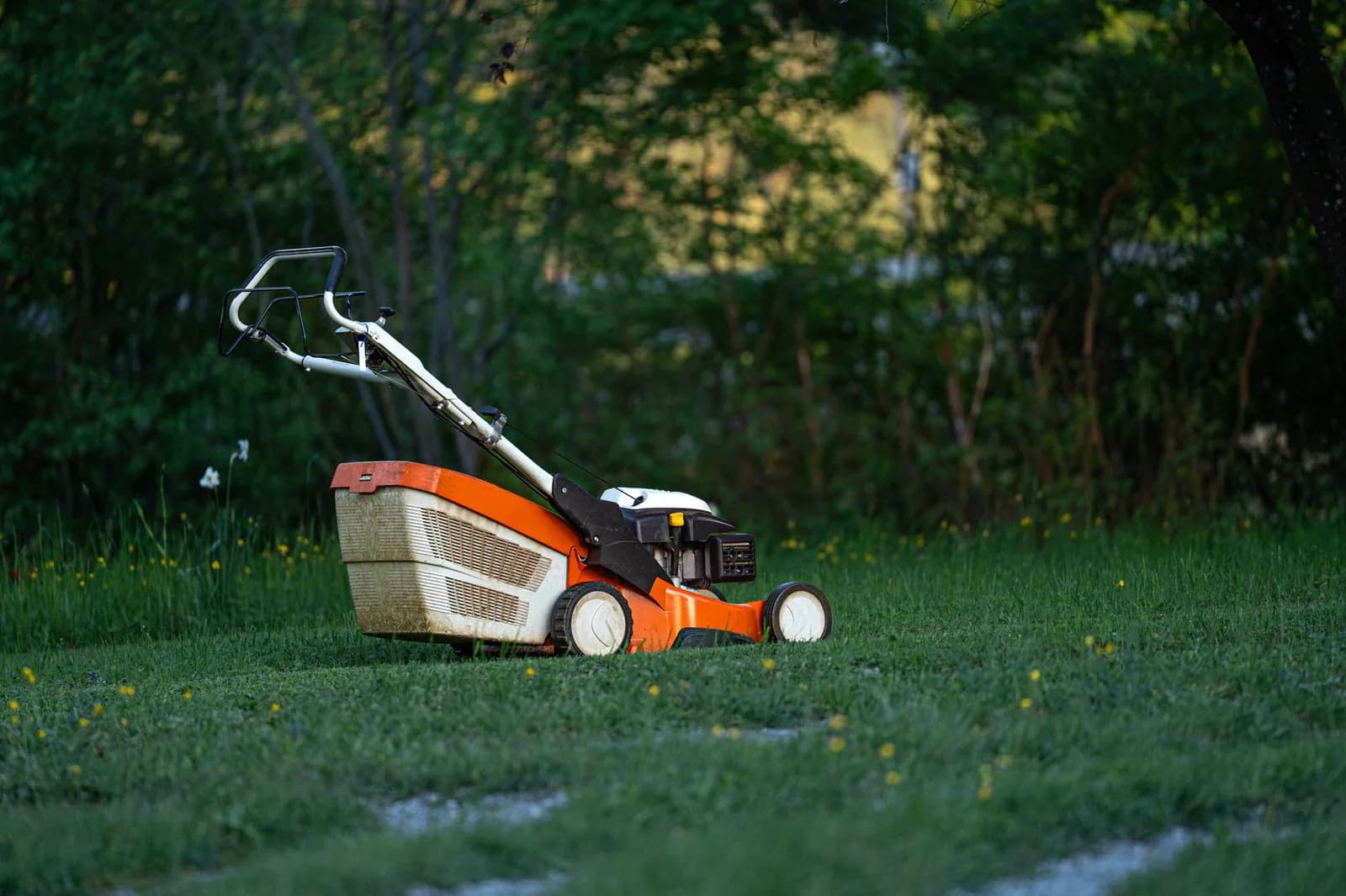 An orange and white push lawn mower standing on a freshly cut backyard lawn in front of a dark line of trees